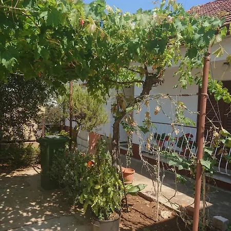 Punta Apartment Zadar