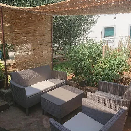 Apartment Punta